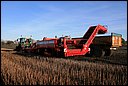RWS_3107.JPG
