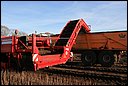 RWS_3113.JPG