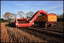 RWS_3114.JPG