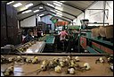 RWS_3923.JPG
