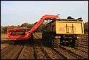 RWS_7227.JPG