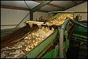 RWS_7263.JPG